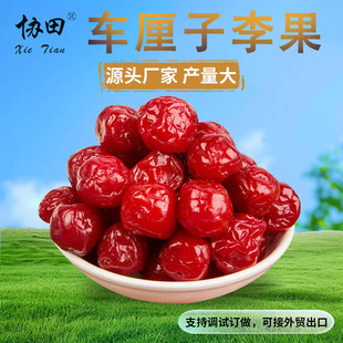 �S�ҹ�������ζ��� ܇����ζ����ɼ�ʳ��āˮ���ɛ������T�t��