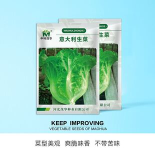 �п�ï�A�߲˷N�ӹ�˾���l��������˷N�Ӽ�ͥ�@ˇ���˷N