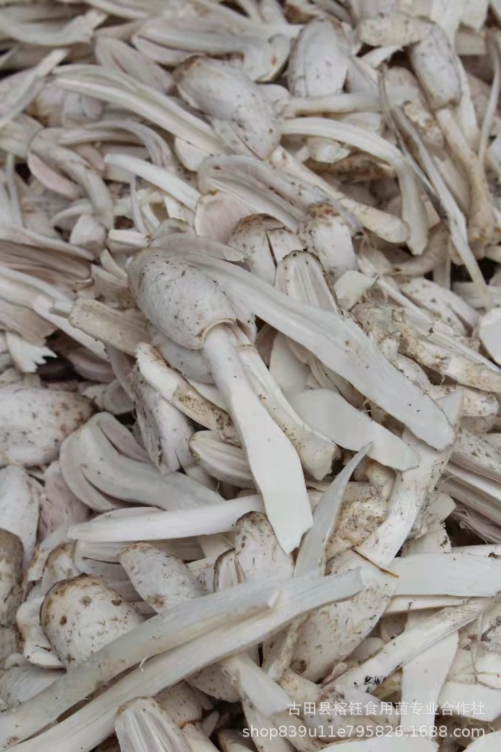 微信图片_20211014142815