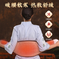 Electric Heating Moxa Waist Support with Extended Protection, Smokeless Moxibustion Lumbar Support, Thermal Salt Waist Heating Pad