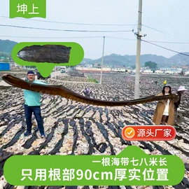 海带;水产干货类