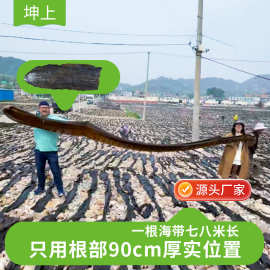 厂家供海带干货批发海鲜昆布高品质出口无泥无沙干海带海带板