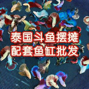���ؔ��������l��̩�����~�����~����ϔ[�����b�鼆��Ů�~�W�t�~