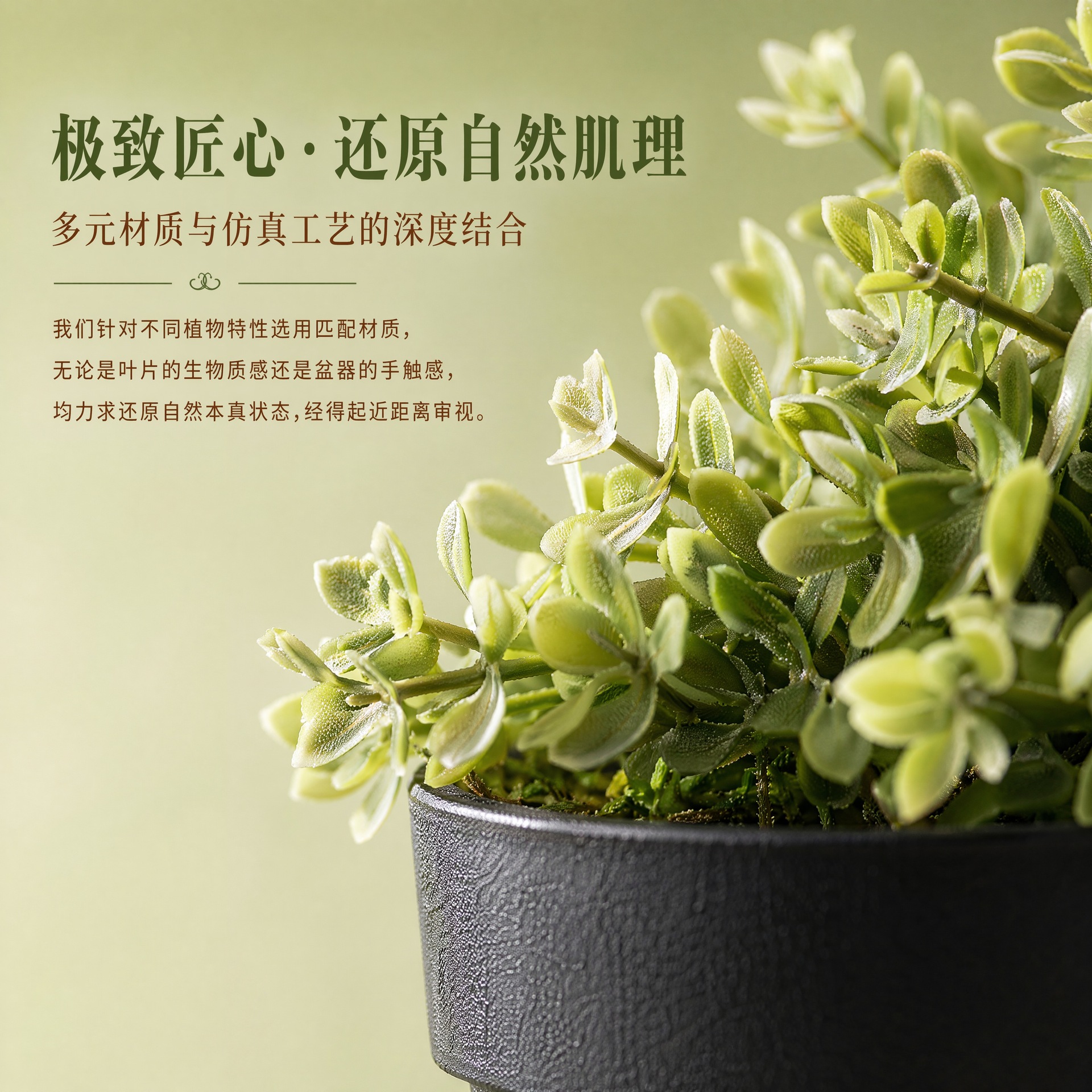 1121盆栽详情页 (9).jpg