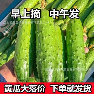�GƤС������r�خa�r���߲���Ʒ�N�S�����ɽ�|��̨�S���۹ϰ��]