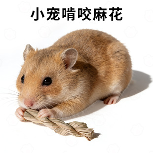 ��Ȼˮ�ݾ����黨�}���z�������ҧĥ�������ˣ�␞С����Ʒ