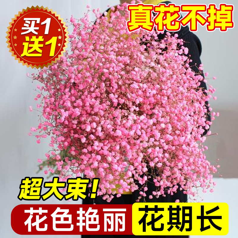 。满天星干花花束鲜花新鲜真花云南直发永生花客厅摆设家用插花大