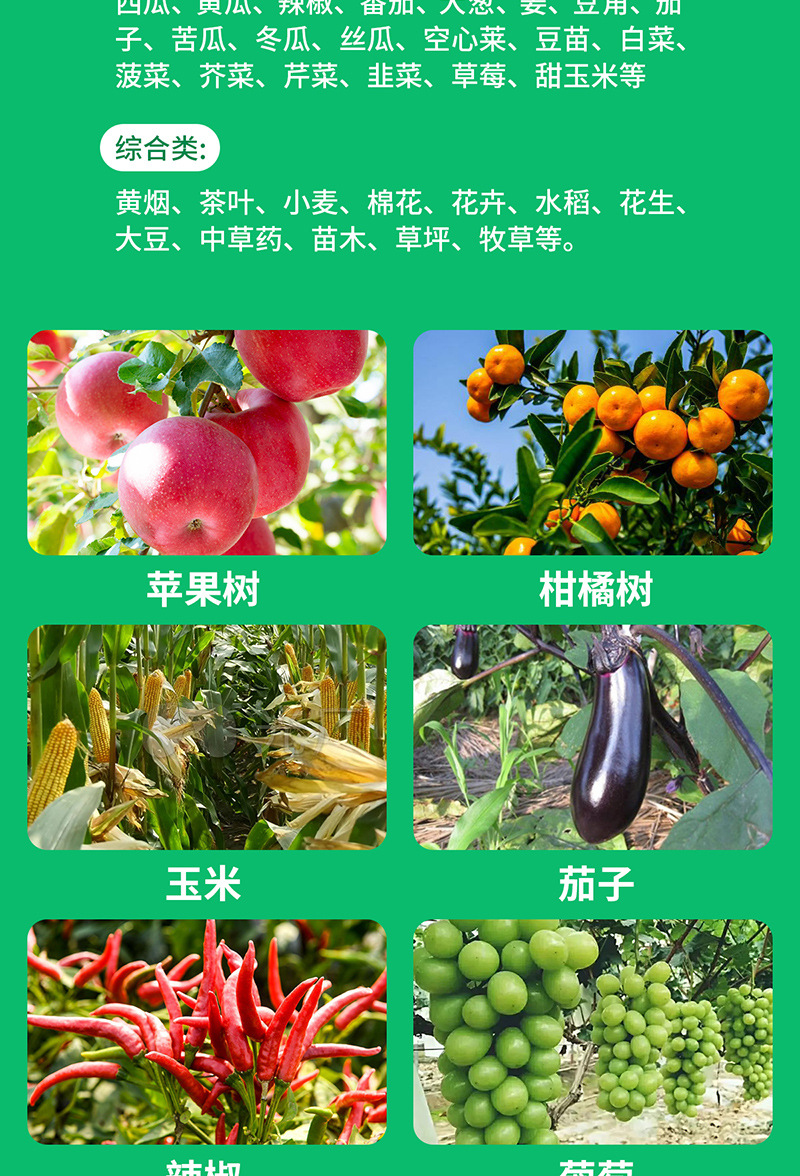一喷绿(1)_09.jpg