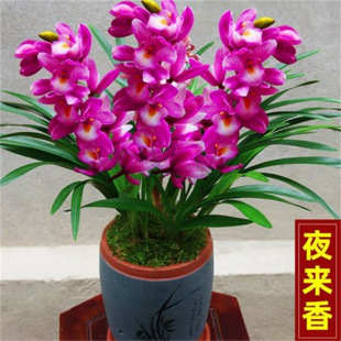 ҹmFm滨_F͎҃ȿ͏dGֲ