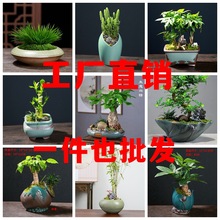 �մɻ���GֲС�M���辰�����Ї��L�͹ŶU����ɰ��G�������ƴ�P