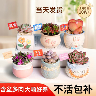 ����ֲ��С���Դ��w���B�Ժðl؛�҃��k������¶�ҵ�����������