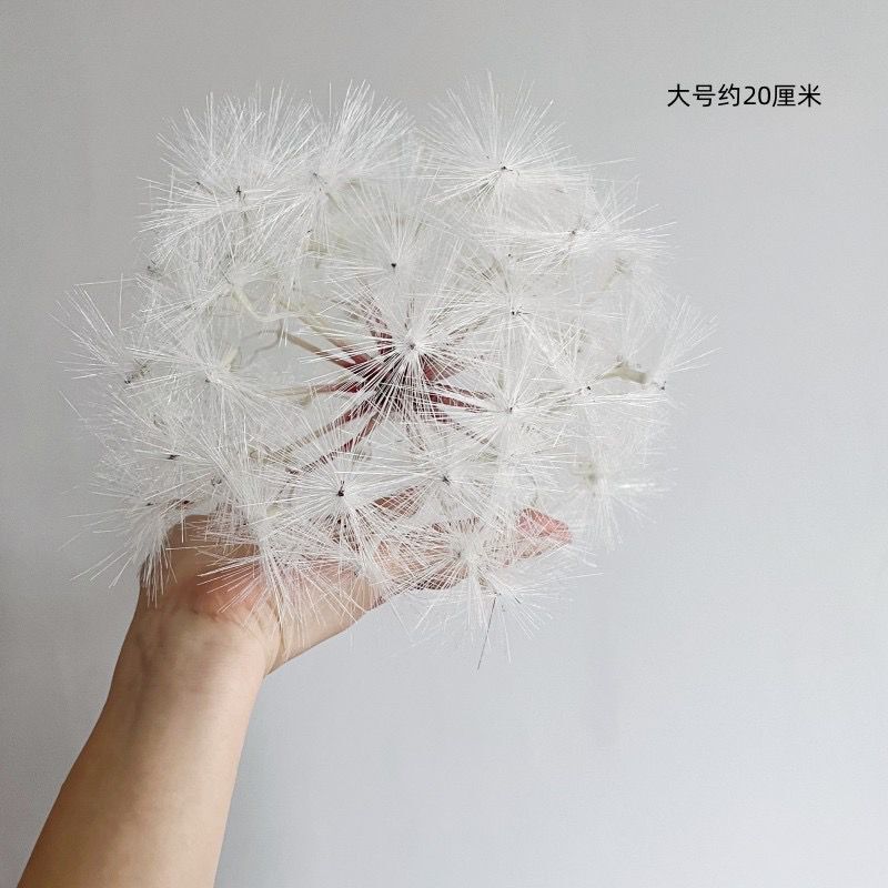 큰 꽃 머리 흰색