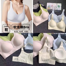 248ļM޺齺̶Сؾ£U׷͸ѹ