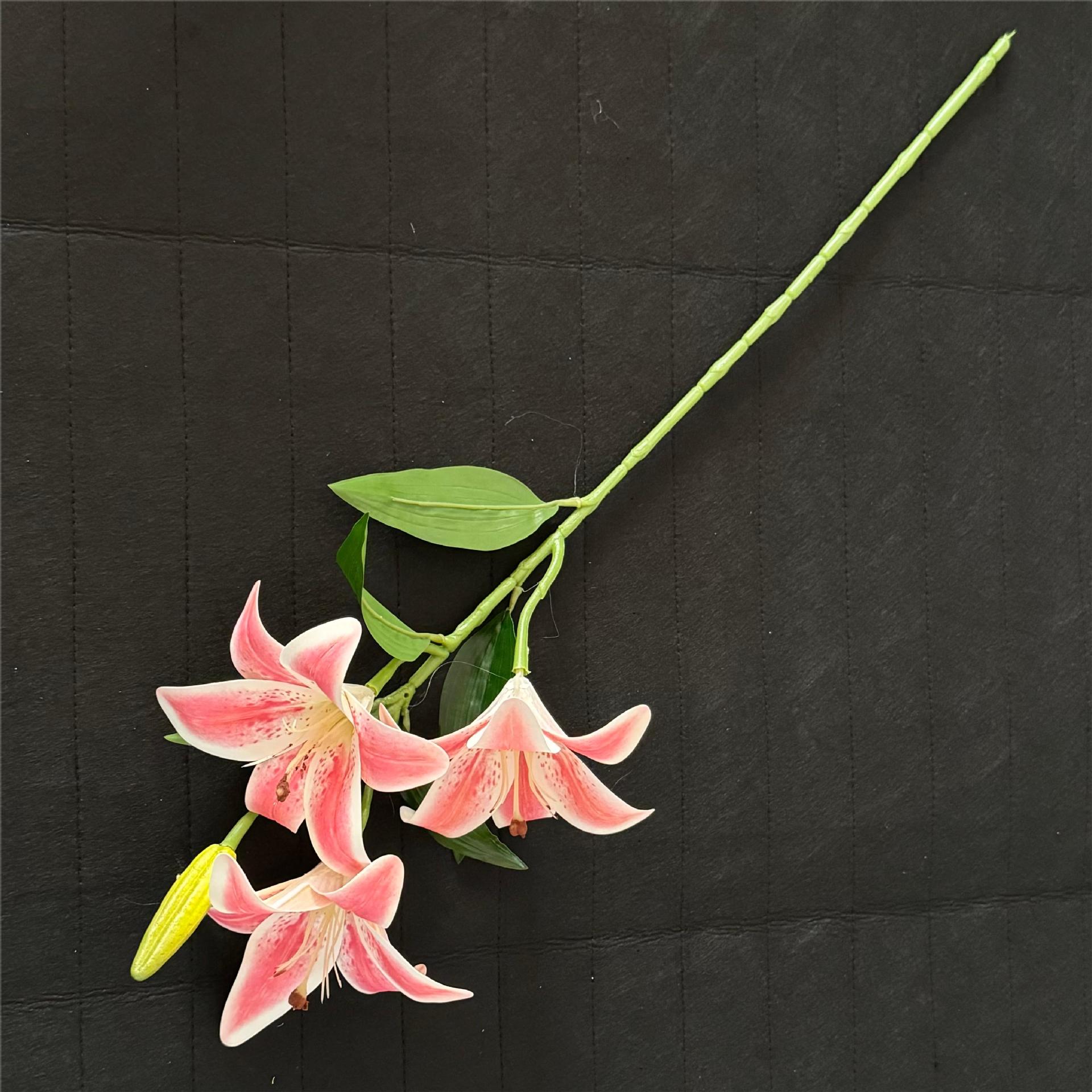 로즈 파우더