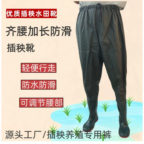 Direct from the manufacturer: anti-slip, wear-resistant, waist-length wading pants, fishing pants, and waterproof rice-planting pants with matching rice-planting shoes