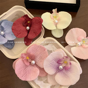 ������ɫ��������m�l�Aץ�A�^�����滨�^�߅�A�m���l���l�