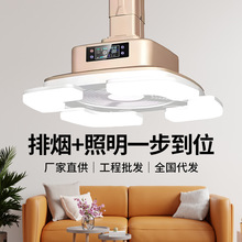 电动伸展棋牌室吸烟灯麻将机空气净化器直外排式智能感应高效除烟