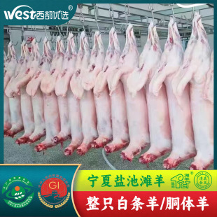 �������l�����}�؞���������w�חl��-���� ���ʳ�ğ���ʳ�ďS��