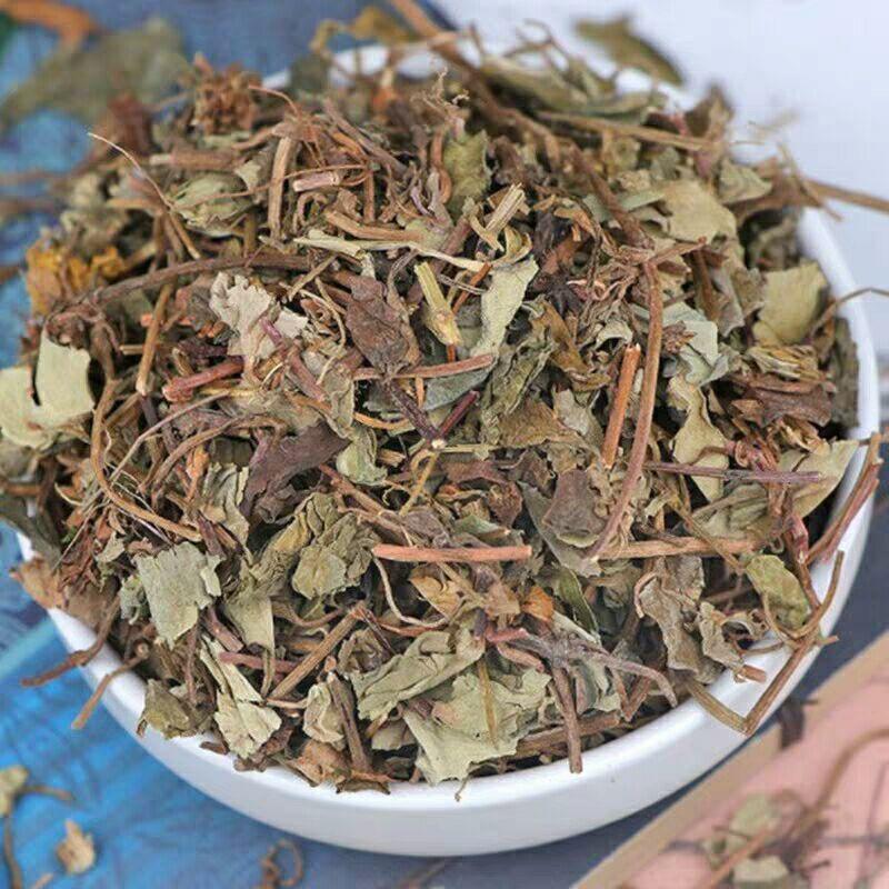 Dried Jin Qian Cao 金钱草 Loose Herb Slices for Traditional Tea and Decoction 500g overview
