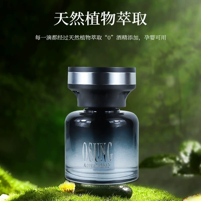 Elf Car Aromatherapy Perfume Lasting: Car Perfume Aromatherapy