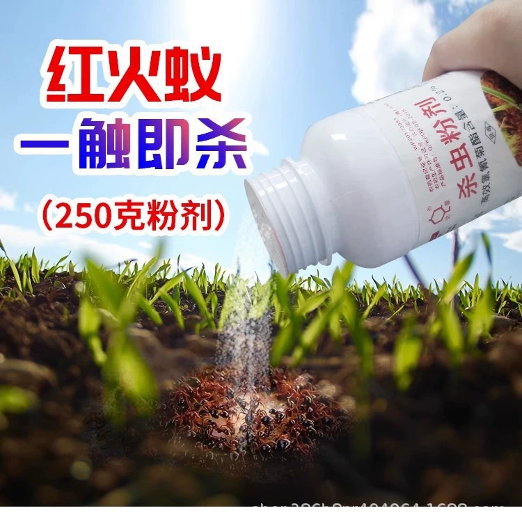 Инсектицидный порошок Dahao 250 г для наружного применения, приманка от пчеломордников, средство от муравьев, полное уничтожение гнезда, высокоэффективное средство от пчеломордников.