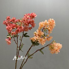 花紫薇花樱花海棠室内外景观布置植物树拍摄复古秋色陈列花艺