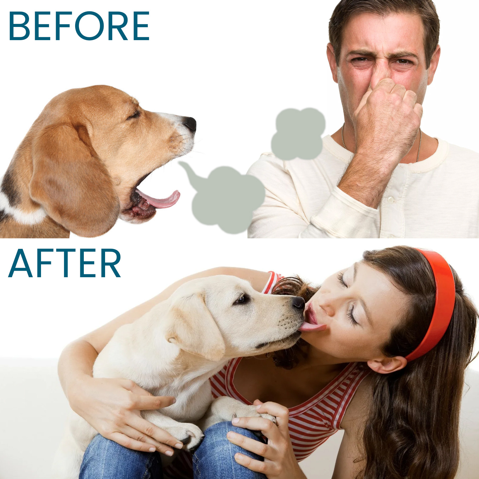 Spray Oral Eliminator Image 7