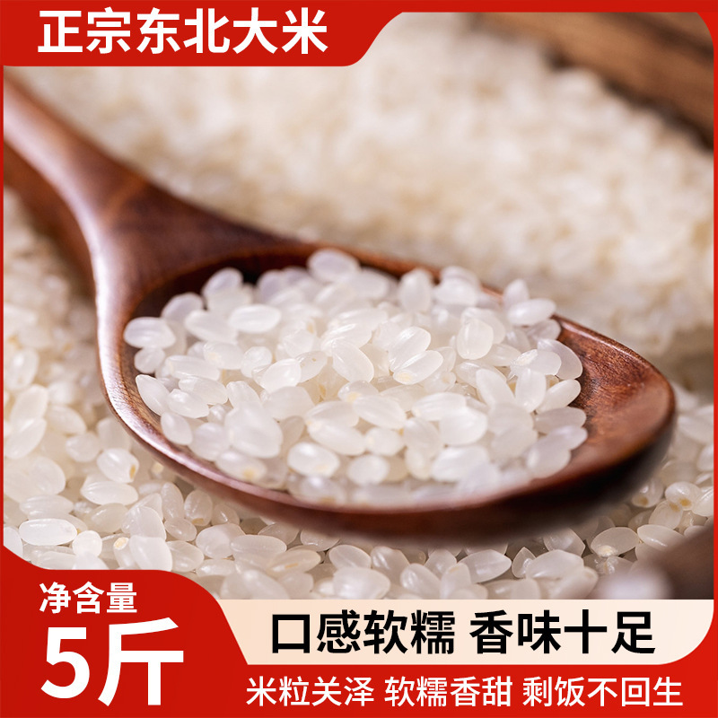 东北珍珠米5斤装圆粒香大米家用煮饭煲粥主食东北香米新大米|undefined
