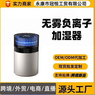 大容量无雾加湿器水蒸发负离子净化USB充电桌面办公卧室静音跨境