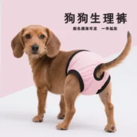 Менструальные сменные штаны для собак Pet Teddy, эластичные физиологические штаны, тонкие безопасные дышащие штаны с защитой от беспокойства, могут предотвратить езду у самцов собак