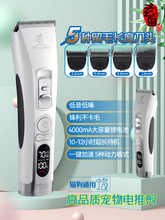 ������ë��������Ƽ􌣘I��ë���^����ꌣ�Ì��I���l��̩��؈��