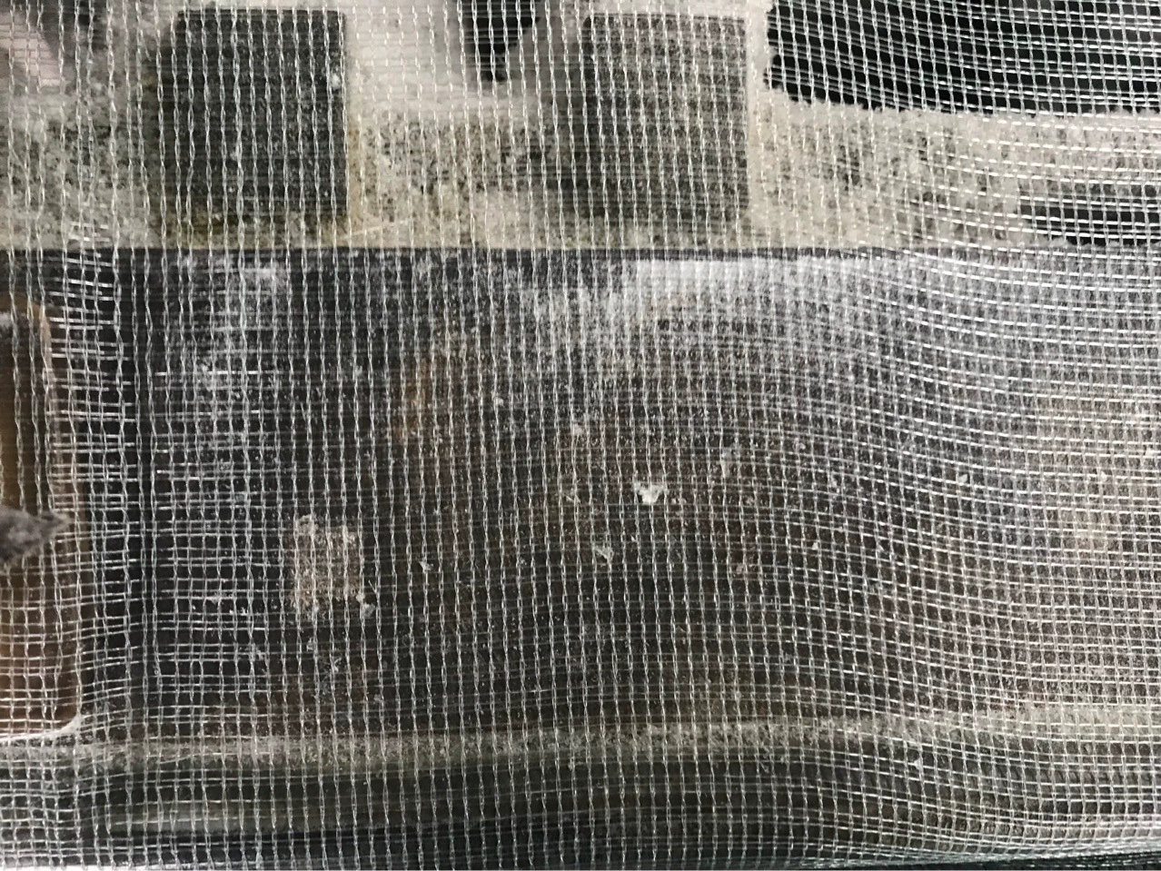 Белая толстая пятикрученная сетка, сетка для стола, лягушка-забор.