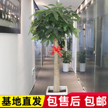 Կ͏d҃ȴ;GֲkҺBGֲ_Iؔ仨