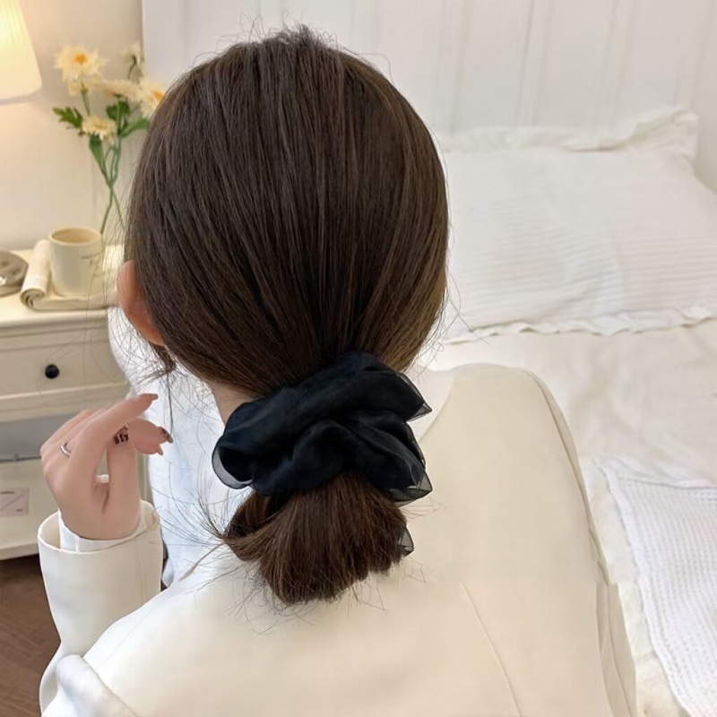 Elegantes Großes Haargummi Aus Mesh Schlichtes Haaraccessoire_voghion.com