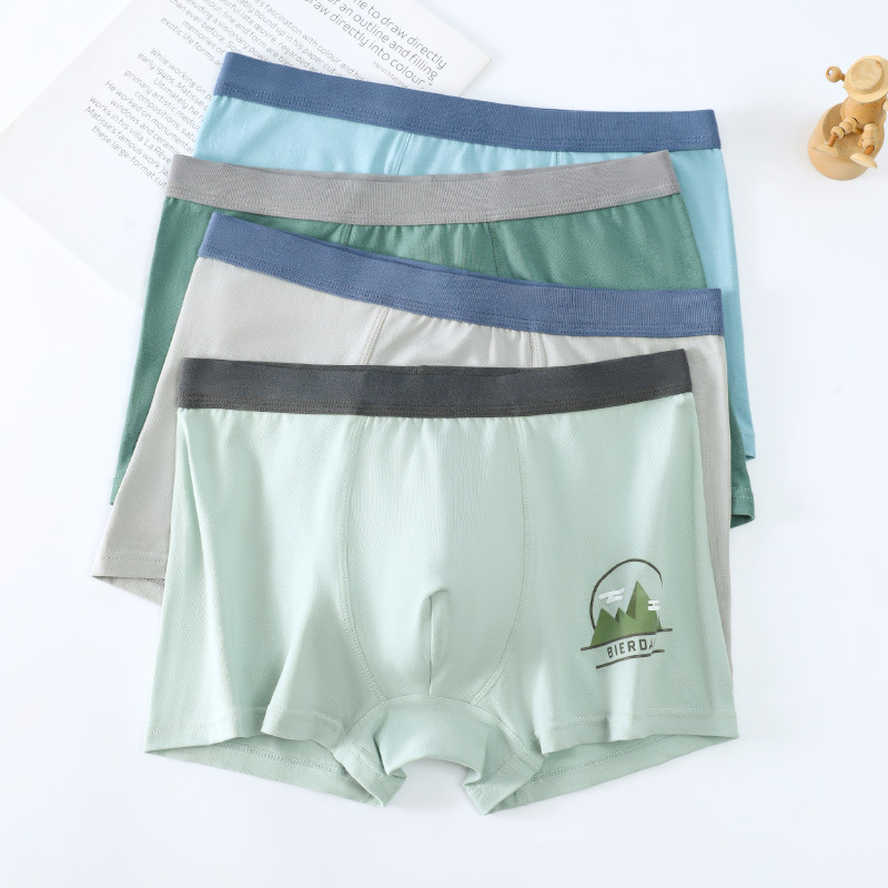 Teenager Underwear Men's Boxer Pants Spring and Summer Cotton Development Stage Boys High School Students Junior High School Boxer Pants Shorts Head