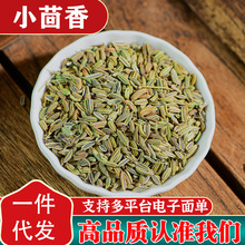 精选小茴香新货茴香籽香料家用炖汤调料小茴香颗粒烧烤