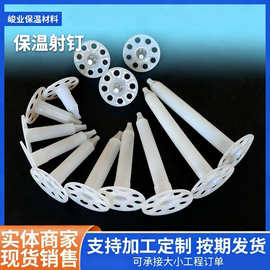 厂家保温射钉外墙保温射钉苯板挤塑板射钉气动保温钉气动锚固钉