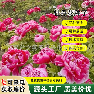 ĵ�����N���ļ����N�_��ͥԺ�̨���ԷN�Ѷ������ذ����ĵ������