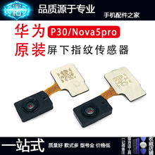 适用华为P30/nova5pro手机指纹识解锁感应连接排线ELE-AL00传感器