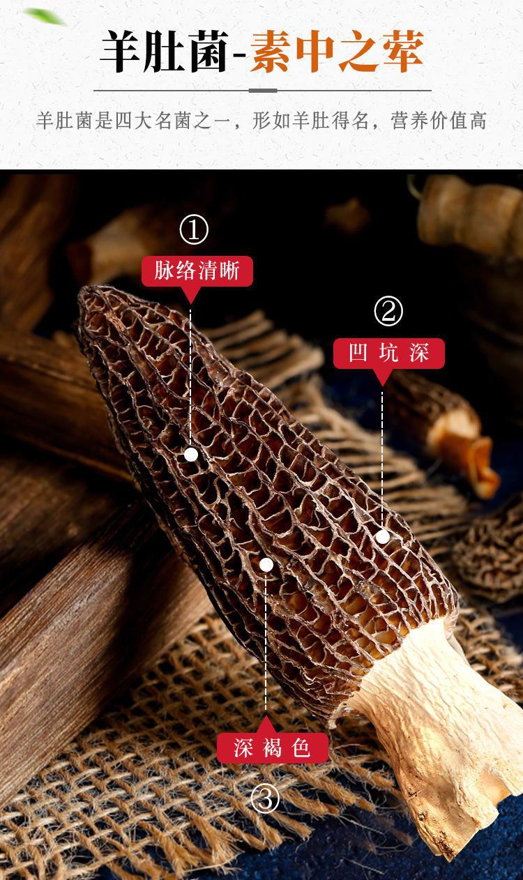 Dried Morel Mushrooms Yang Du Jun Morchella Whole Wild Foraged Yunnan Culinary Gourmet Soup Fungi specifications