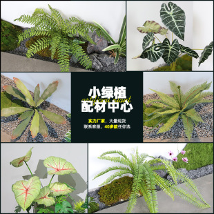 ����Gֲާ�ֲ�����b�c�쾰�廨�G�~�G�}�ٻ����~�����l