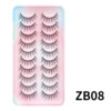 ZB08