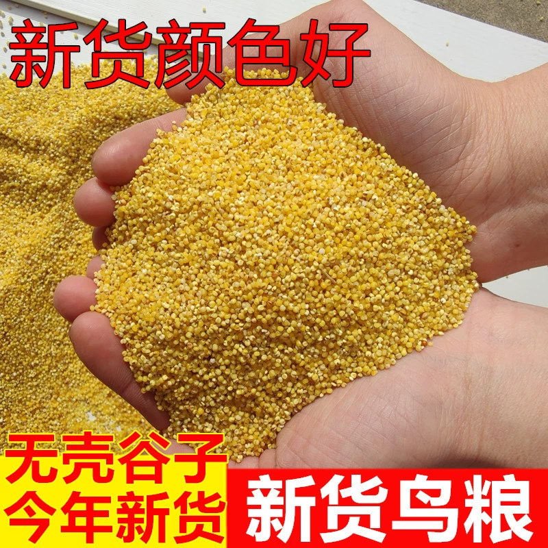 Новая еда для попугаев Желтое просо Птичья еда Птица Десять сестер Тигровая шкура Пион Корм от ветра Очищенное просо