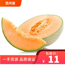 海南哈密瓜西州蜜25号新鲜水果整件包邮生鲜蜜瓜一件代发