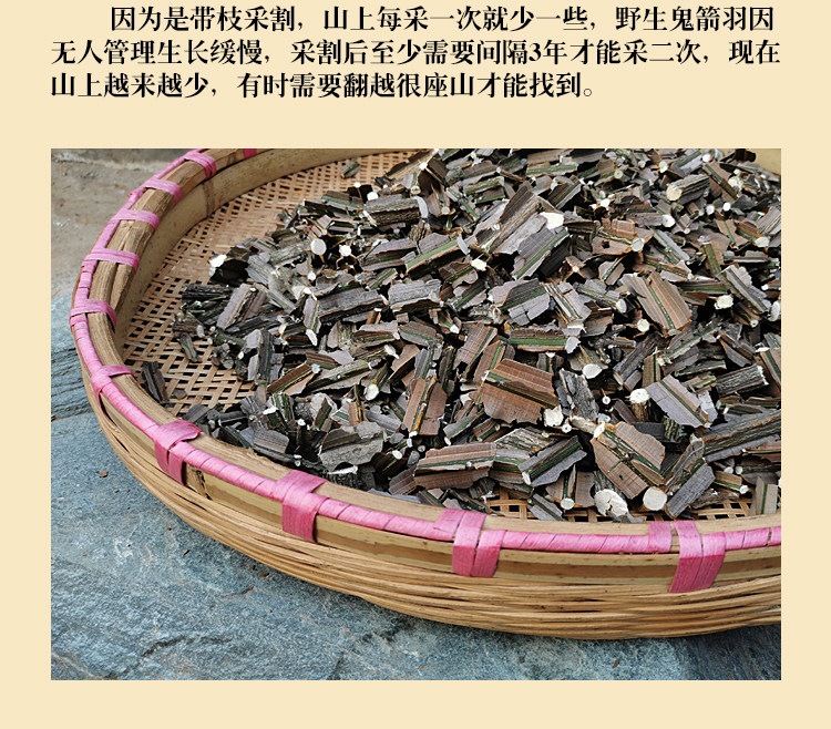 Gui Jian Yu Ghost Arrow Feather Dried Herb Wei Mao Euonymus Branches Wild Qinling Quality 500g specifications