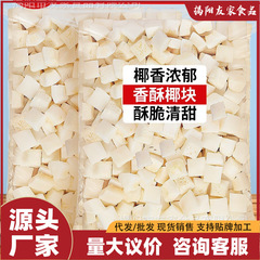 ココナッツのサクサク焼きココナッツの塊海南の特産ココナッツのサクサク焼き新鮮なココナッツの乾燥した肉の妊婦のネットの赤いレジャーの間食