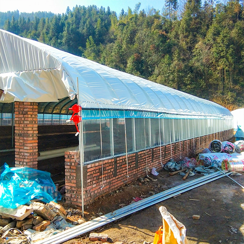 Новая куриная теплица, теплица для уток, теплица для размножения, теплица для свиней, сельскохозяйство крупного рогатого скота, фермент овец, теплица из гуся