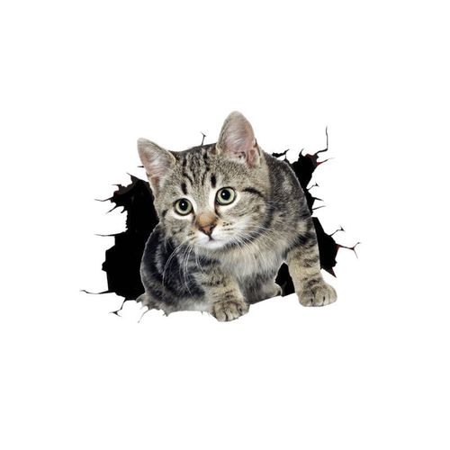 Car sticker to cover traces car sticker car sticker scratch cover waterproof car exterior sticker