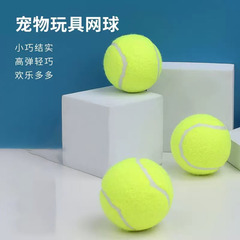 ペットのおもちゃのボールは純色のテニスのテディのコーキを投げます。