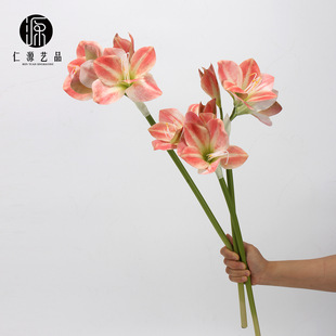 ���Sֱ�N ���滨�����m��֦��피t �껨��c�ٻ���c�Ҿ��b���